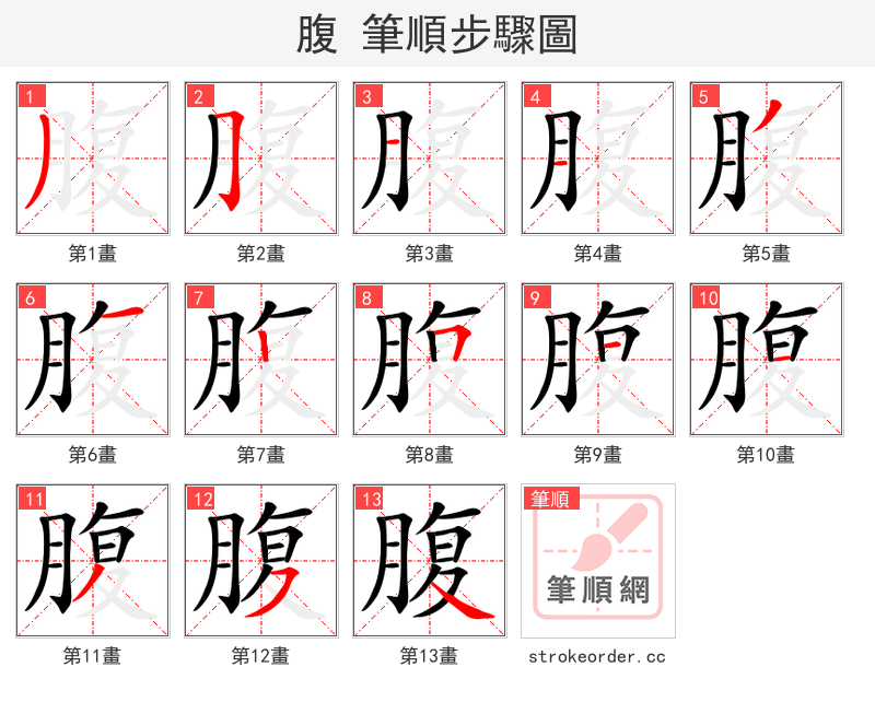 腹 的笔顺分步演示