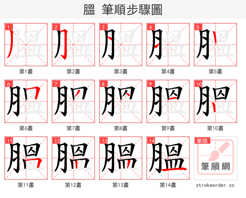 膃 的笔顺分步演示