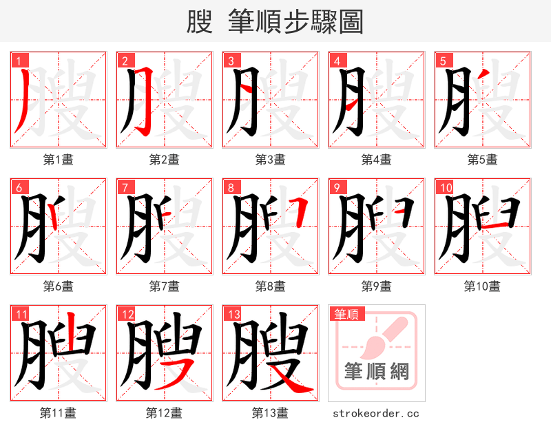 膄 的笔顺分步演示