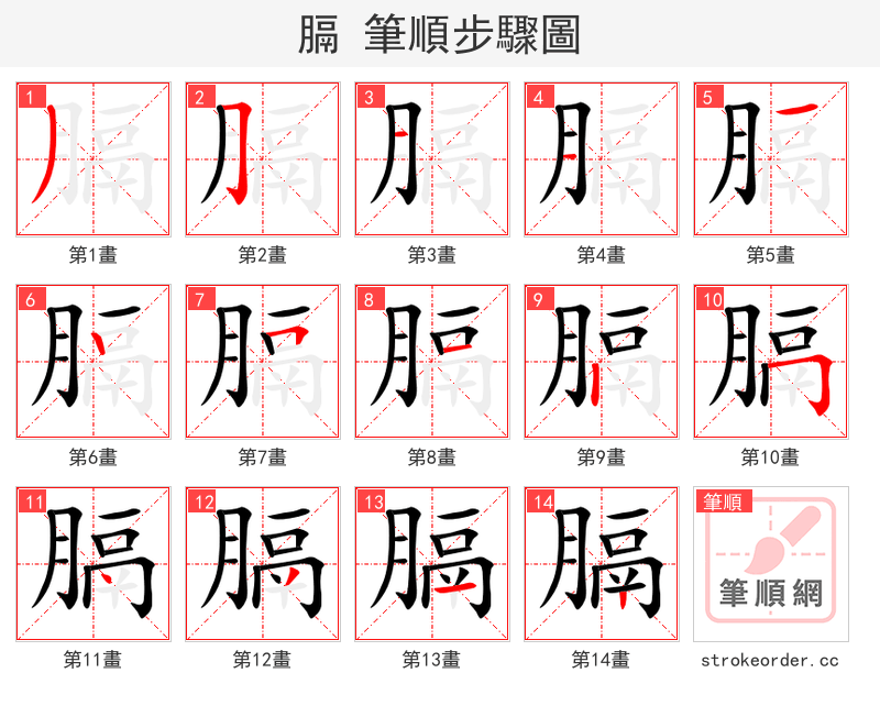 膈 的笔顺分步演示