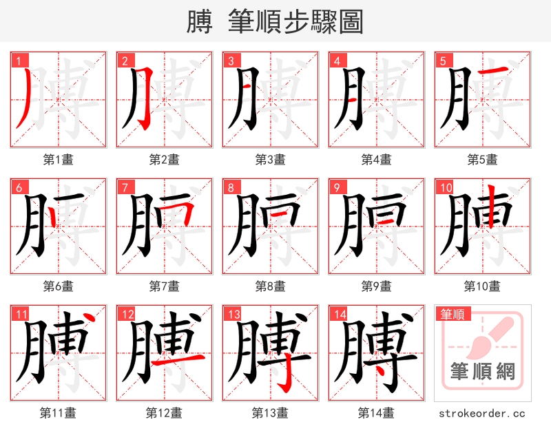 膊 的笔顺分步演示