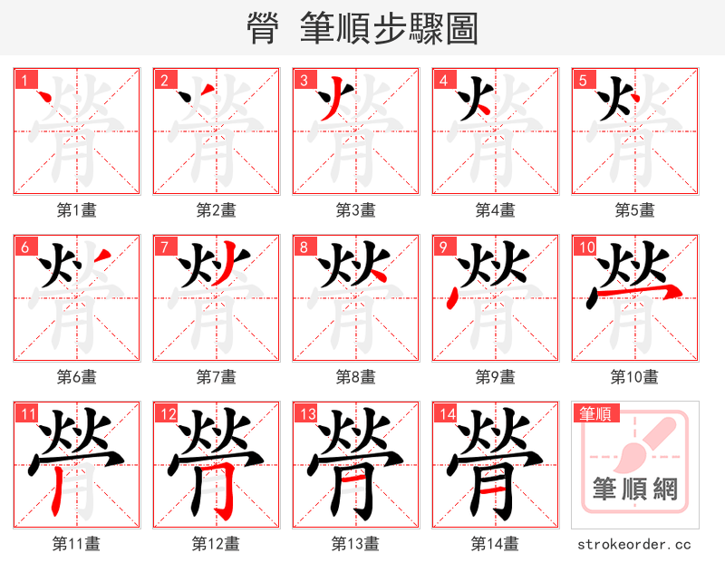 膋 的笔顺分步演示