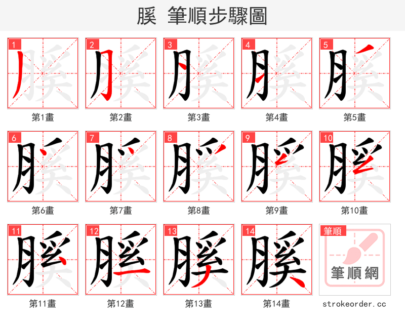 膎 的笔顺分步演示