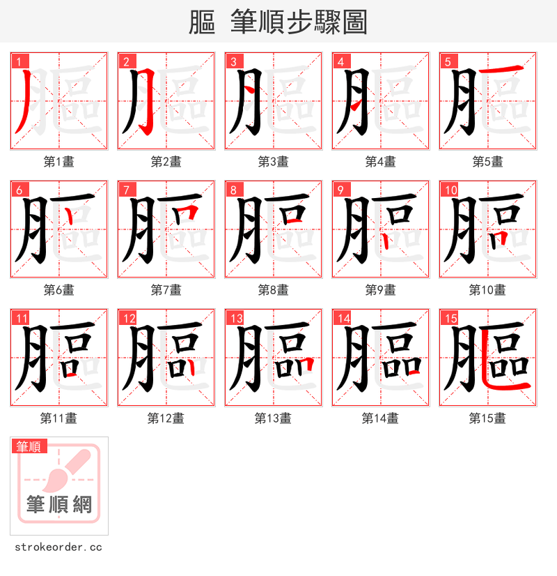 膒 的笔顺分步演示