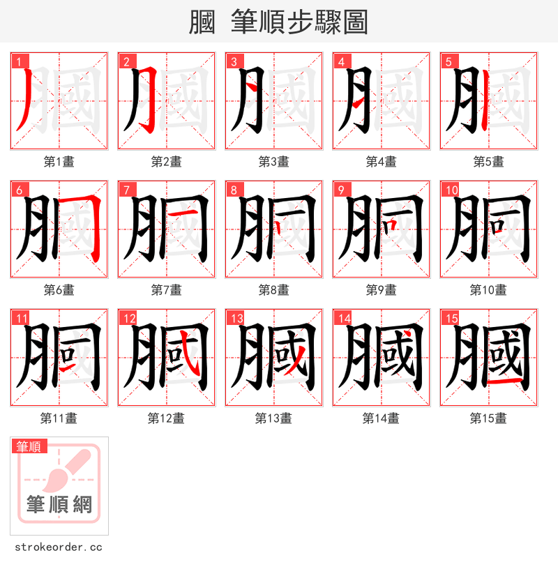 膕 的笔顺分步演示