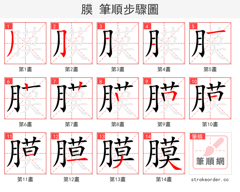 膜 的笔顺分步演示