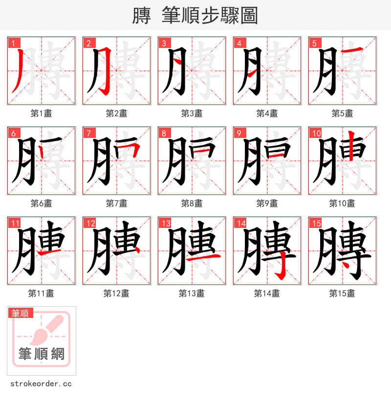膞 的笔顺分步演示