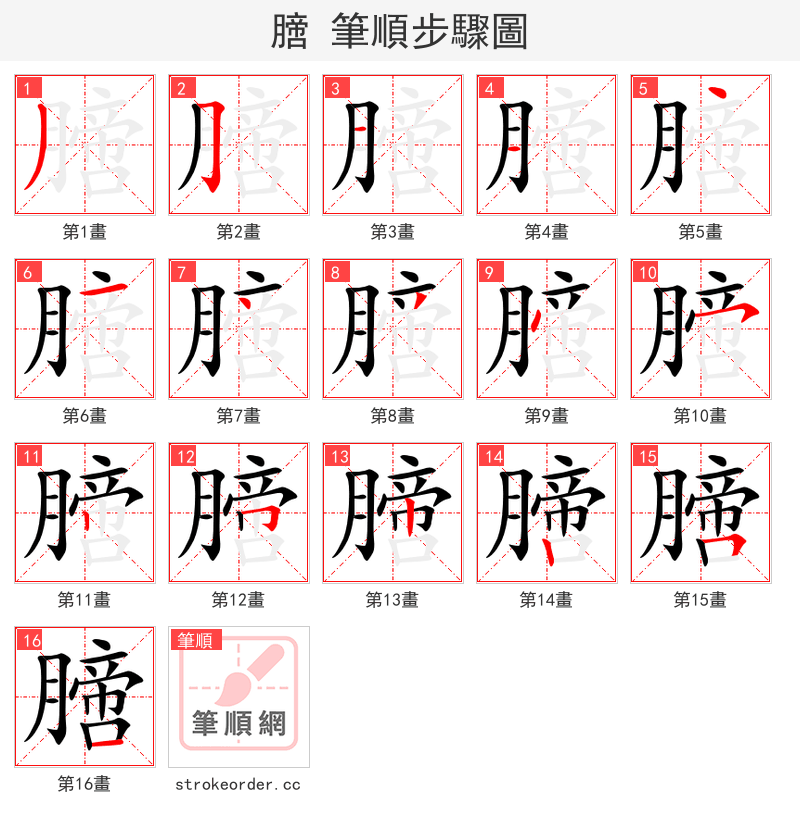 膪 的笔顺分步演示