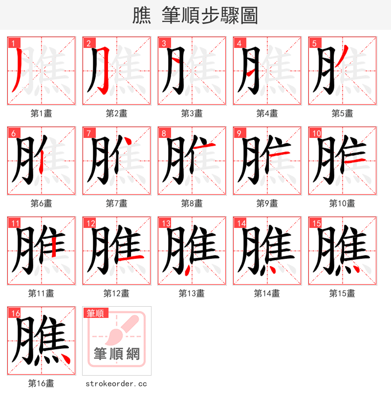 膲 的笔顺分步演示