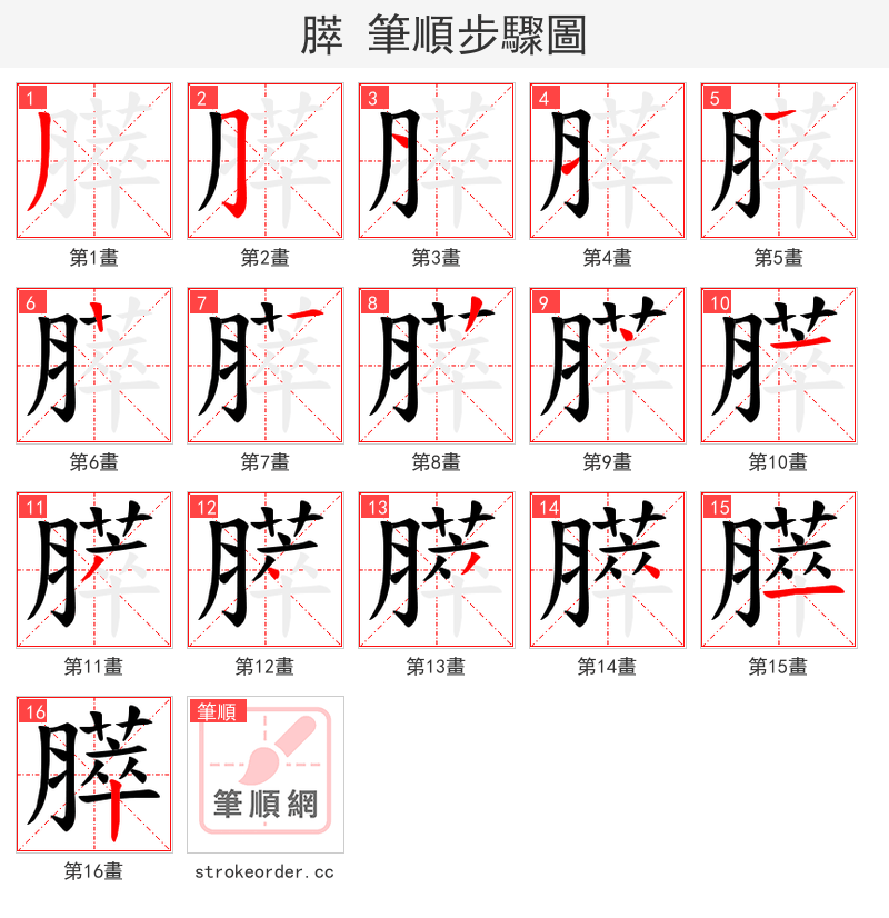 膵 的笔顺分步演示