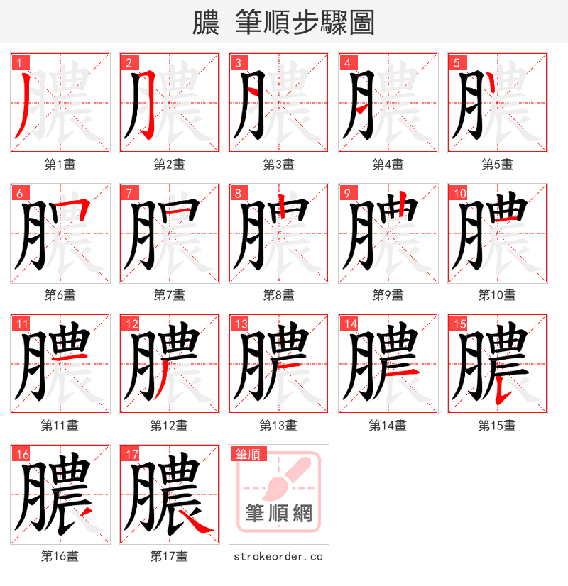 膿 的笔顺分步演示