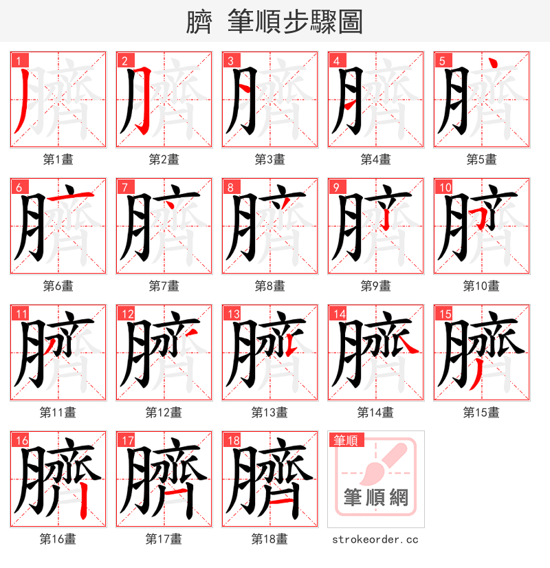 臍 的笔顺分步演示