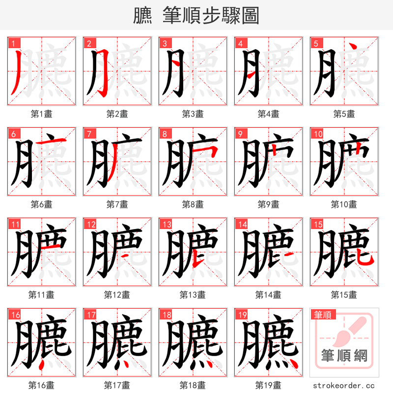 臕 的笔顺分步演示