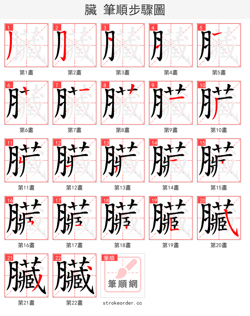 臟 的笔顺分步演示