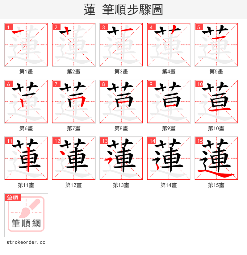 蓮 的笔顺分步演示