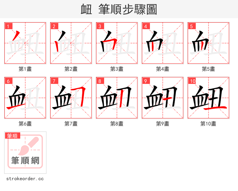 衄 的笔顺分步演示