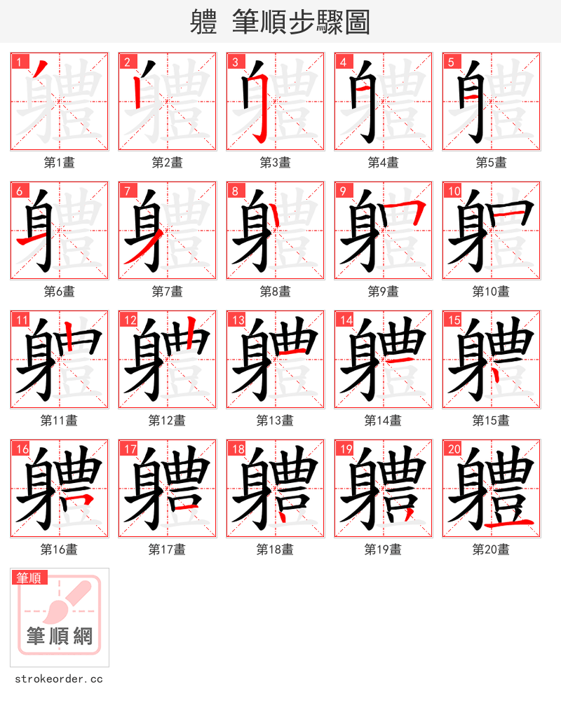 軆 的笔顺分步演示
