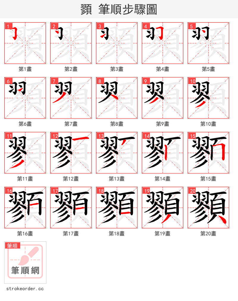顟 的笔顺分步演示