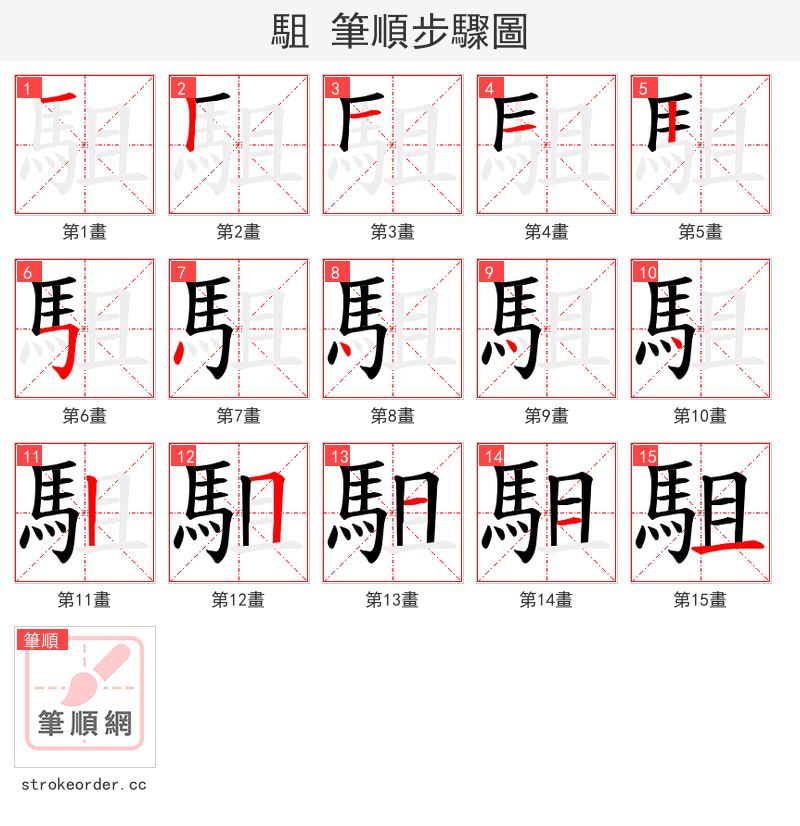 駔 的笔顺分步演示
