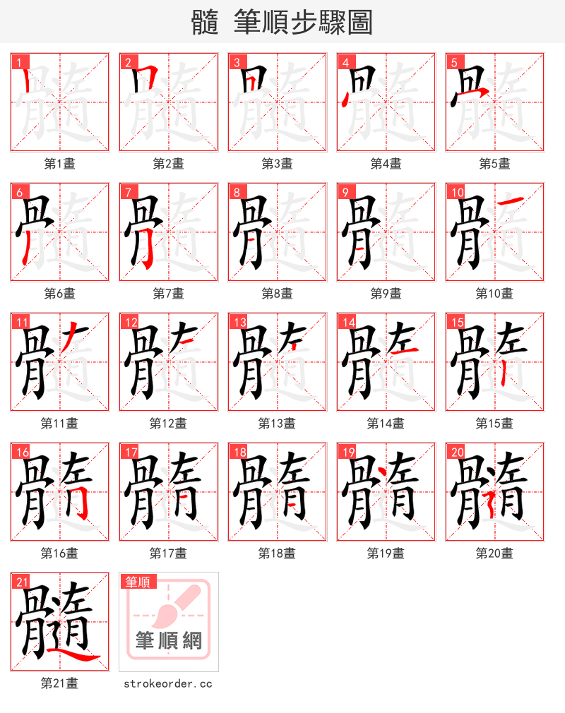 髓 的笔顺分步演示