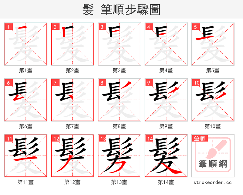 髪 的笔顺分步演示