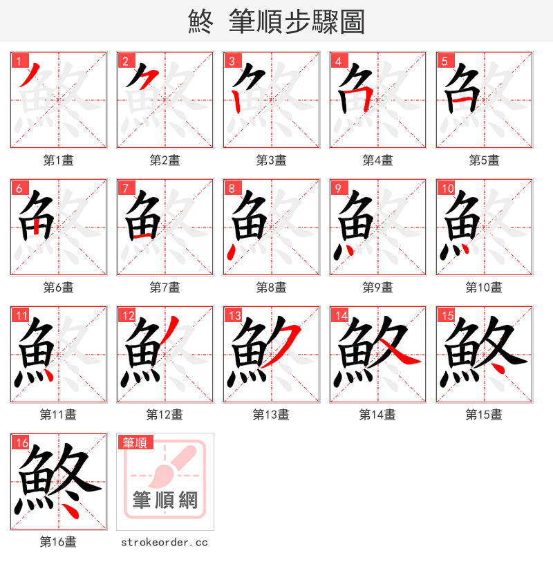 鮗 的笔顺分步演示