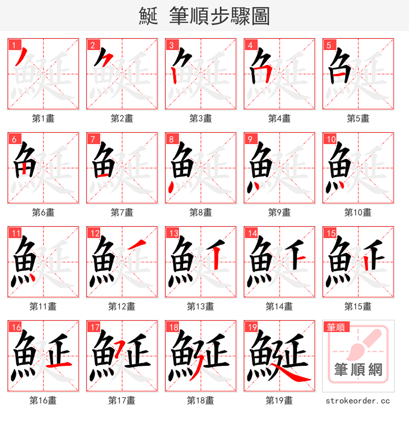 鯅 的笔顺分步演示