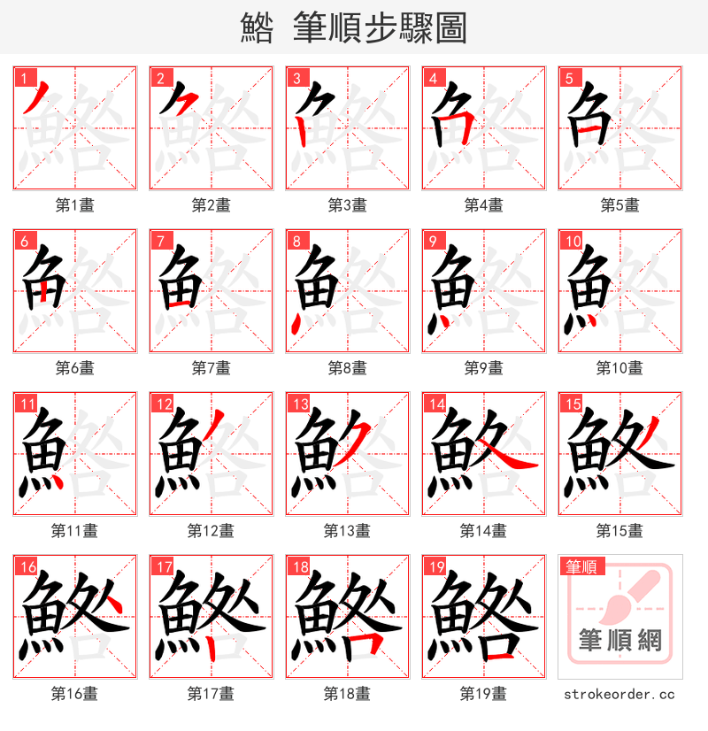 鯦 的笔顺分步演示
