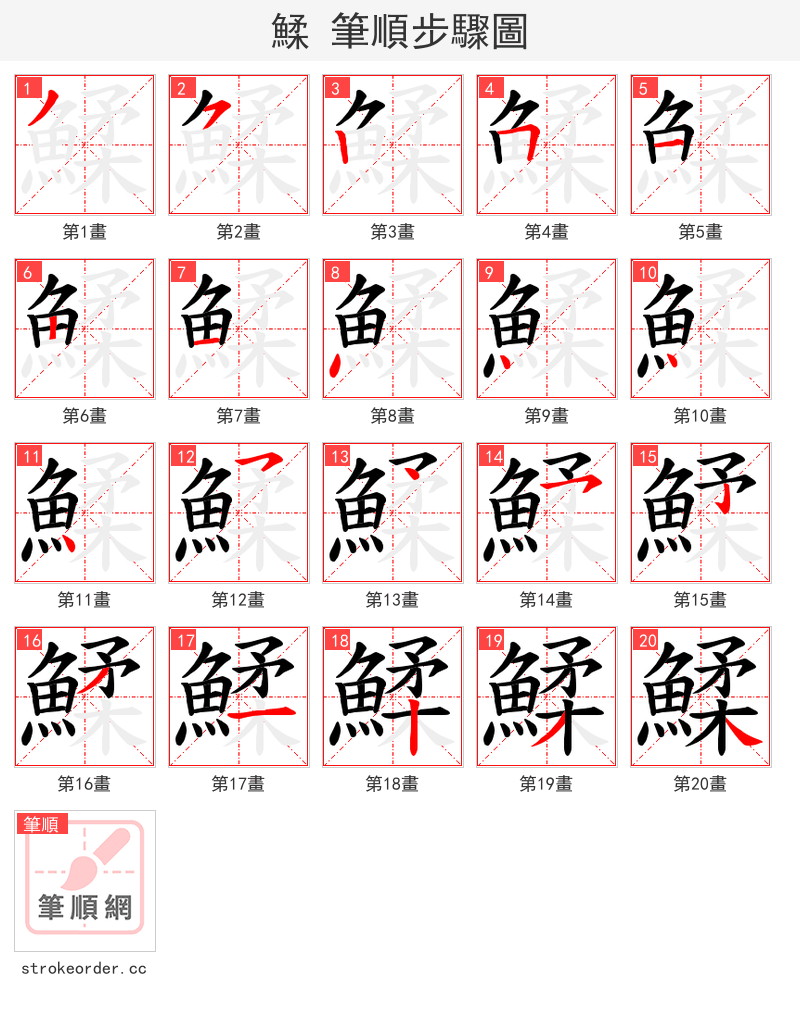 鰇 的笔顺分步演示
