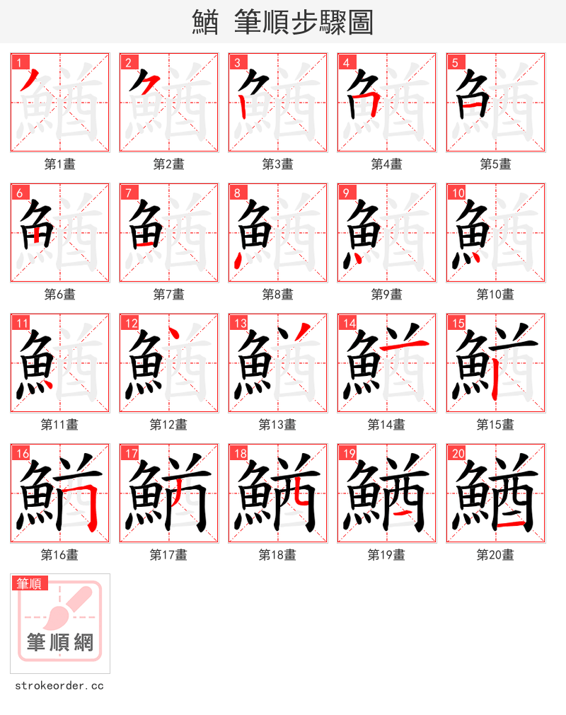 鰌 的笔顺分步演示