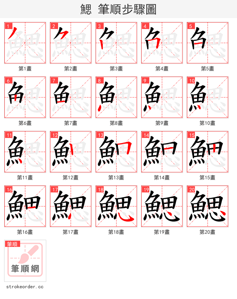 鰓 的笔顺分步演示