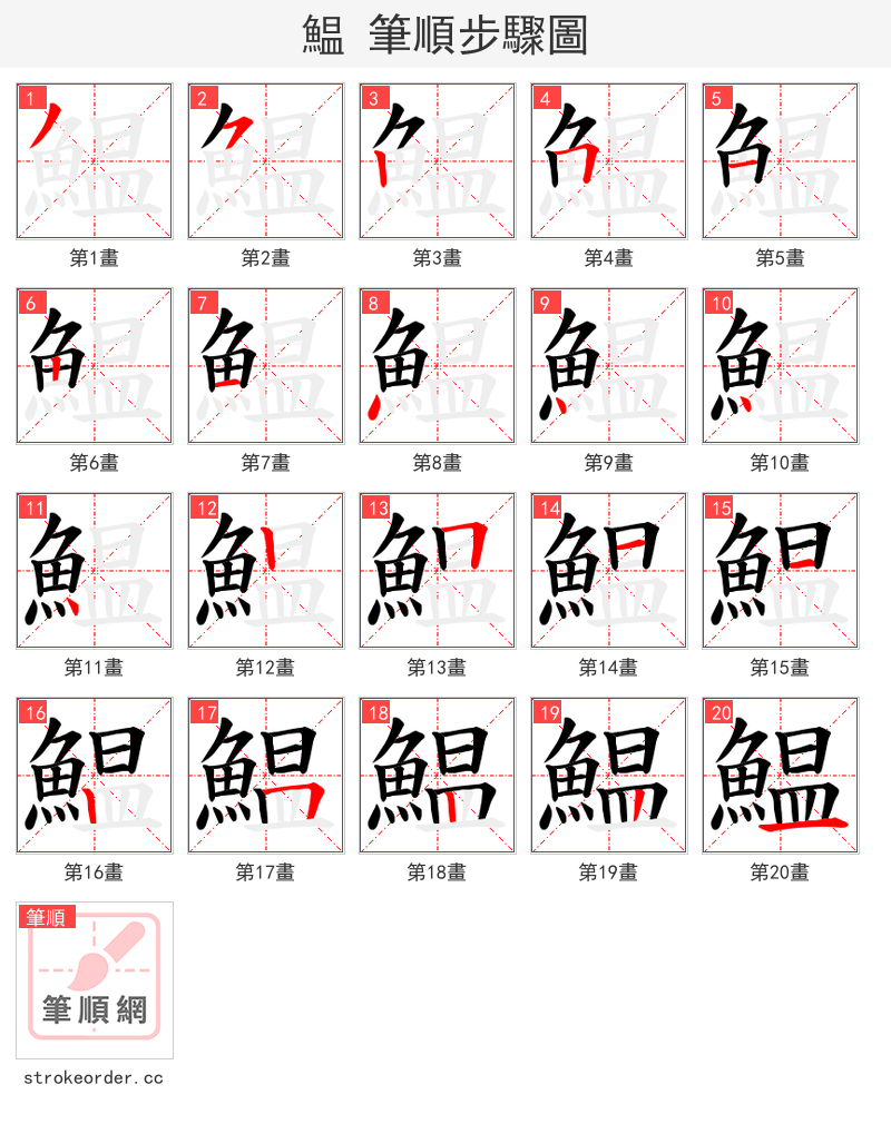 鰛 的笔顺分步演示
