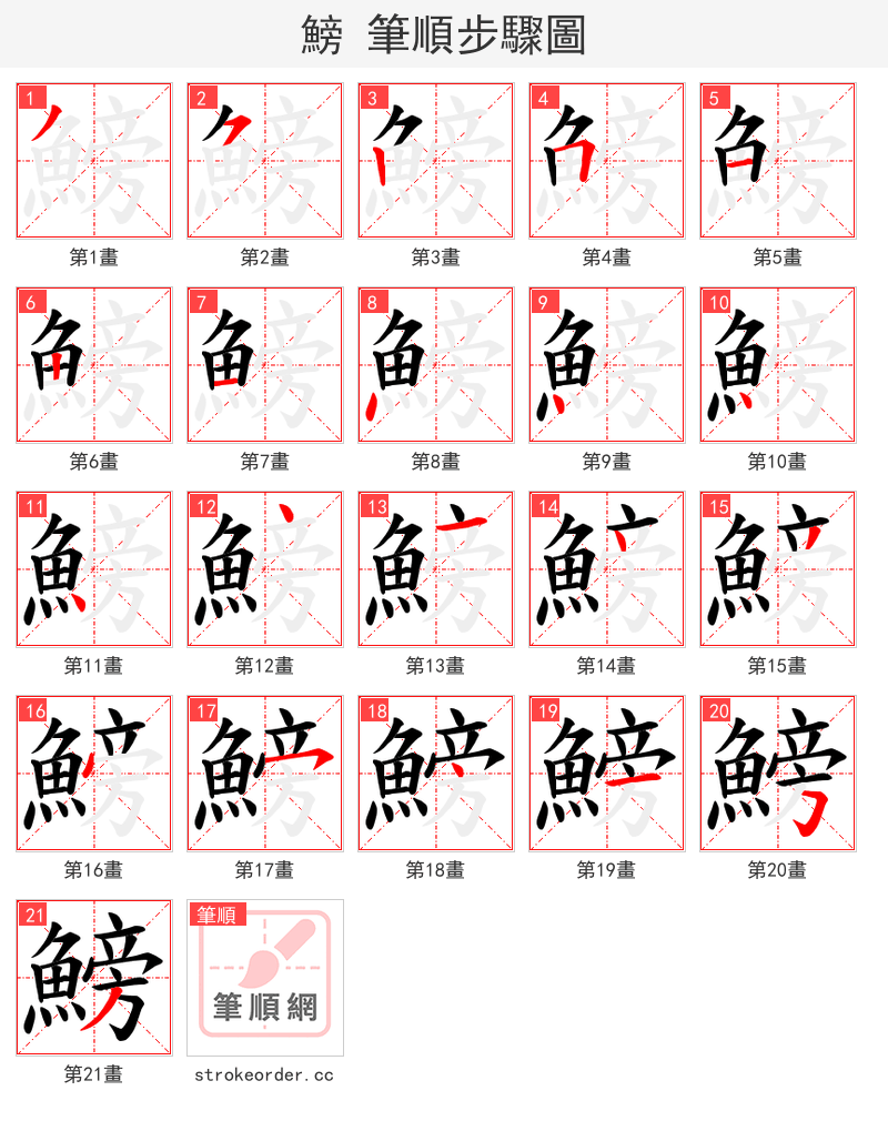 鰟 的笔顺分步演示