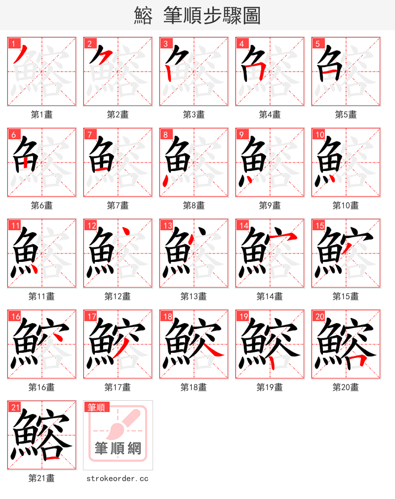 鰫 的笔顺分步演示
