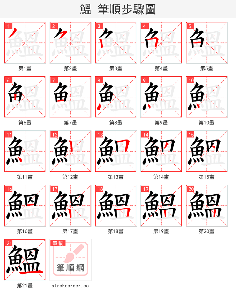 鰮 的笔顺分步演示