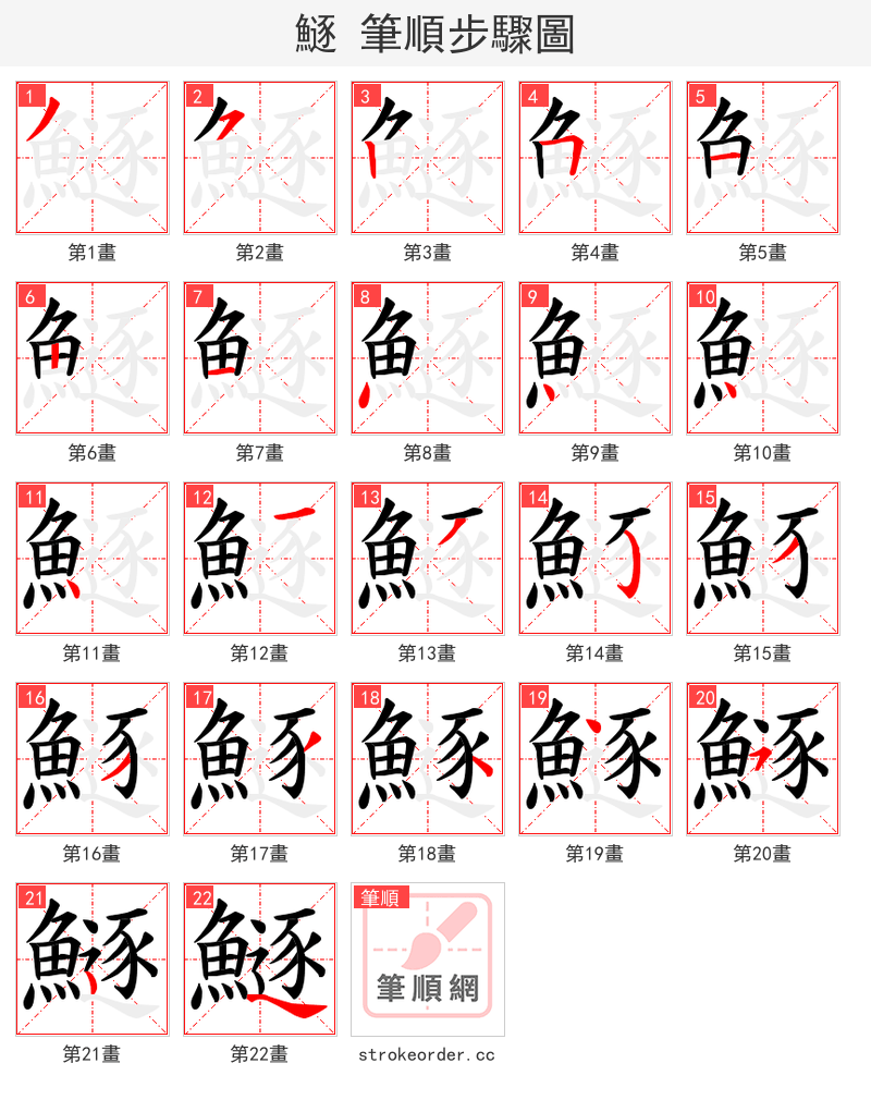 鱁 的笔顺分步演示