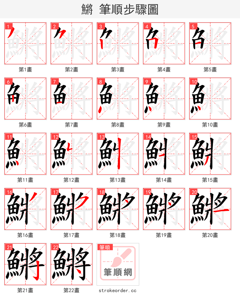 鱂 的笔顺分步演示