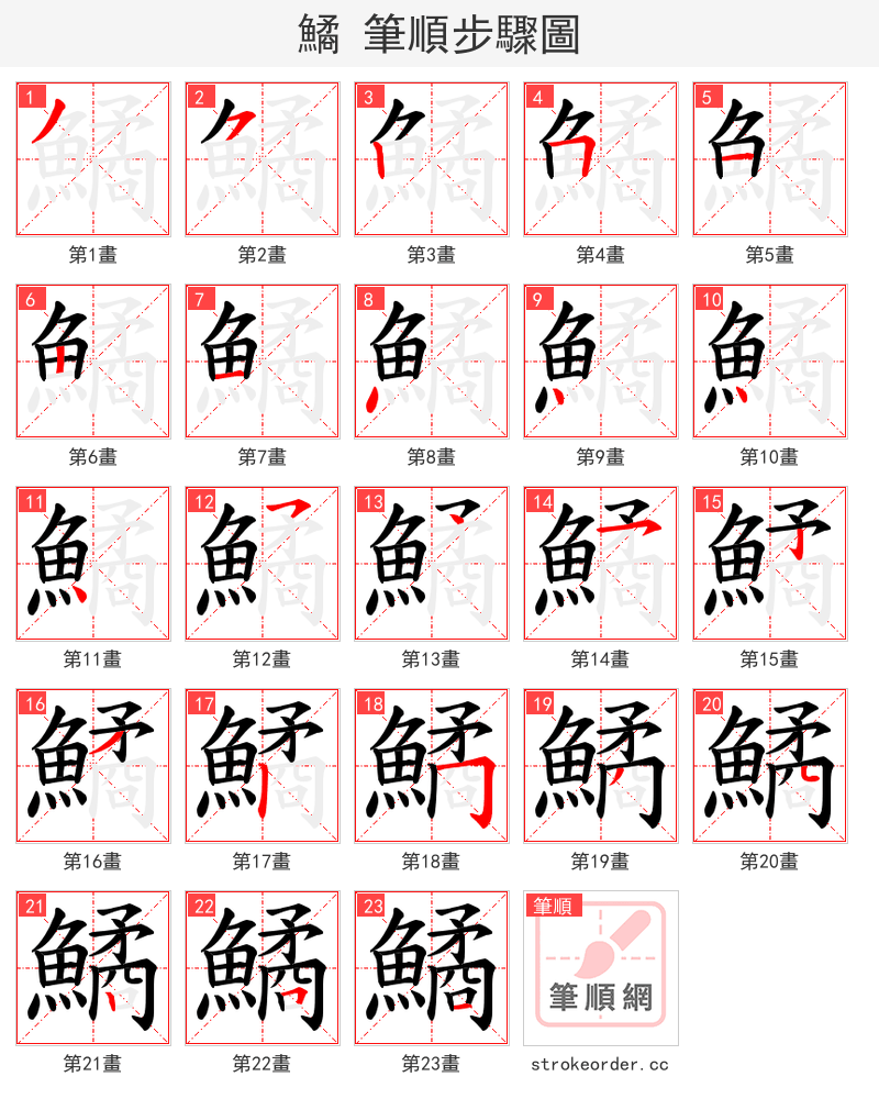鱊 的笔顺分步演示