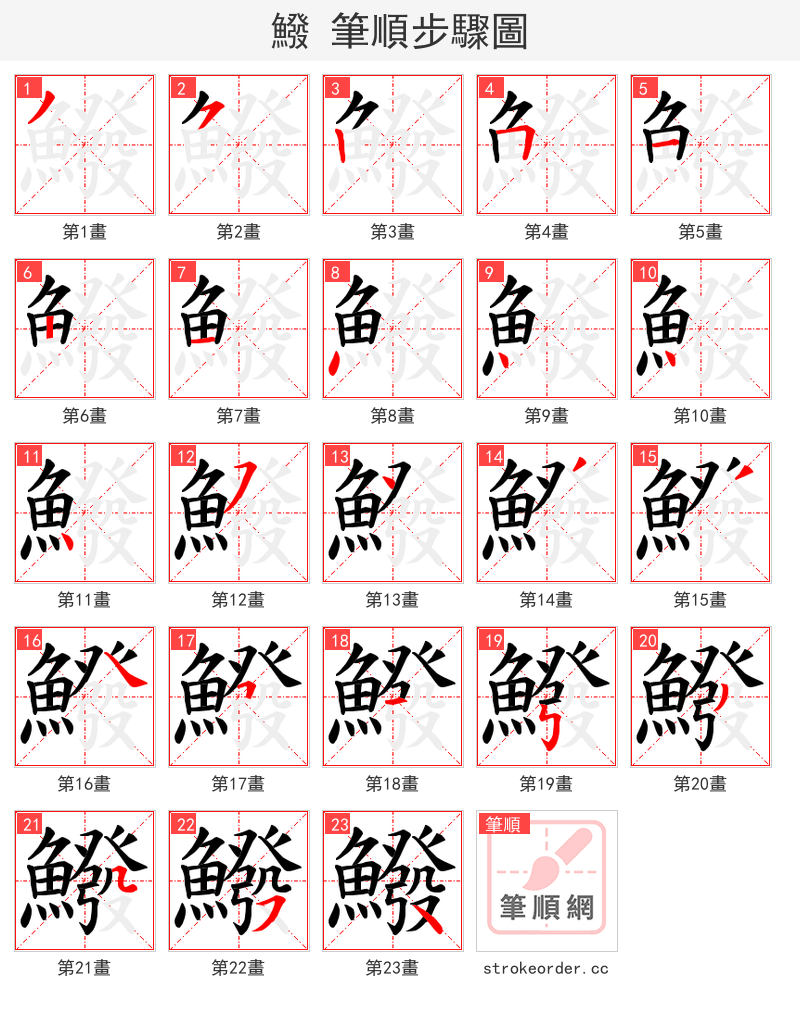 鱍 的笔顺分步演示