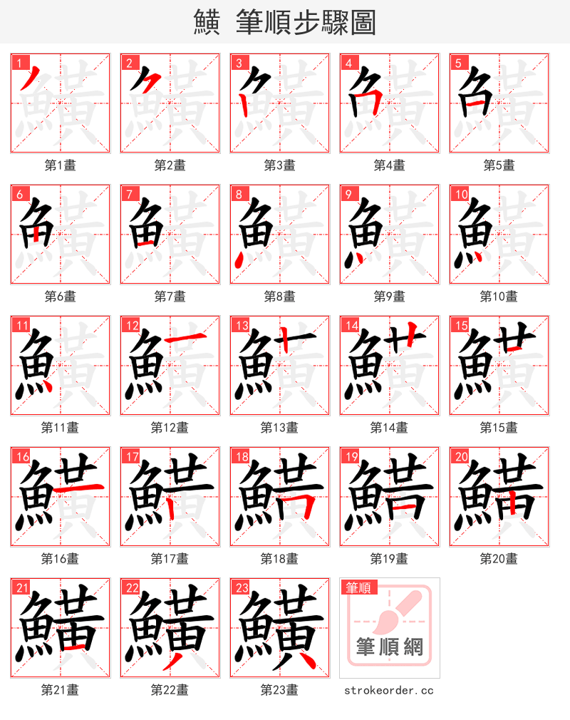 鱑 的笔顺分步演示