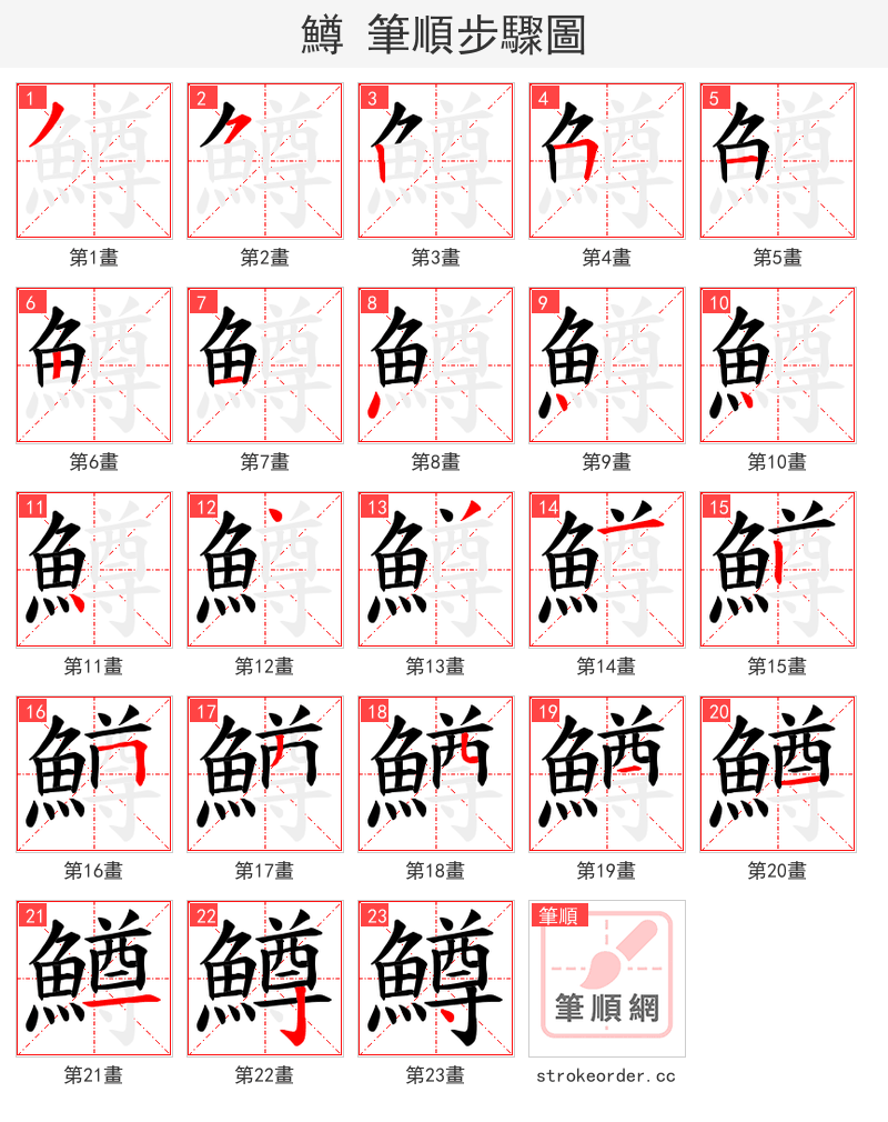鱒 的笔顺分步演示
