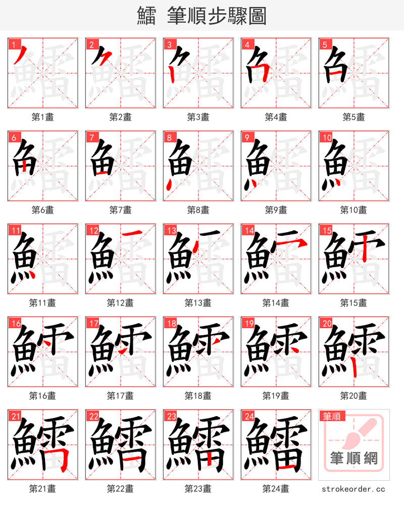 鱩 的笔顺分步演示