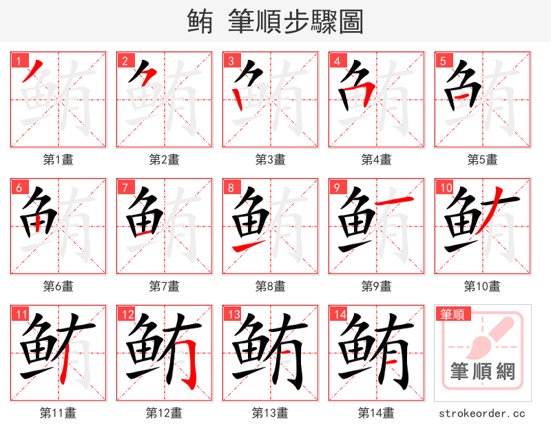 鲔 的笔顺分步演示
