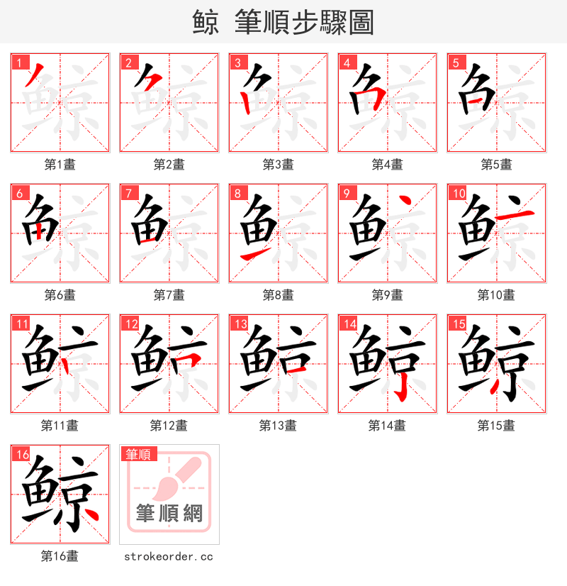 鲸 的笔顺分步演示
