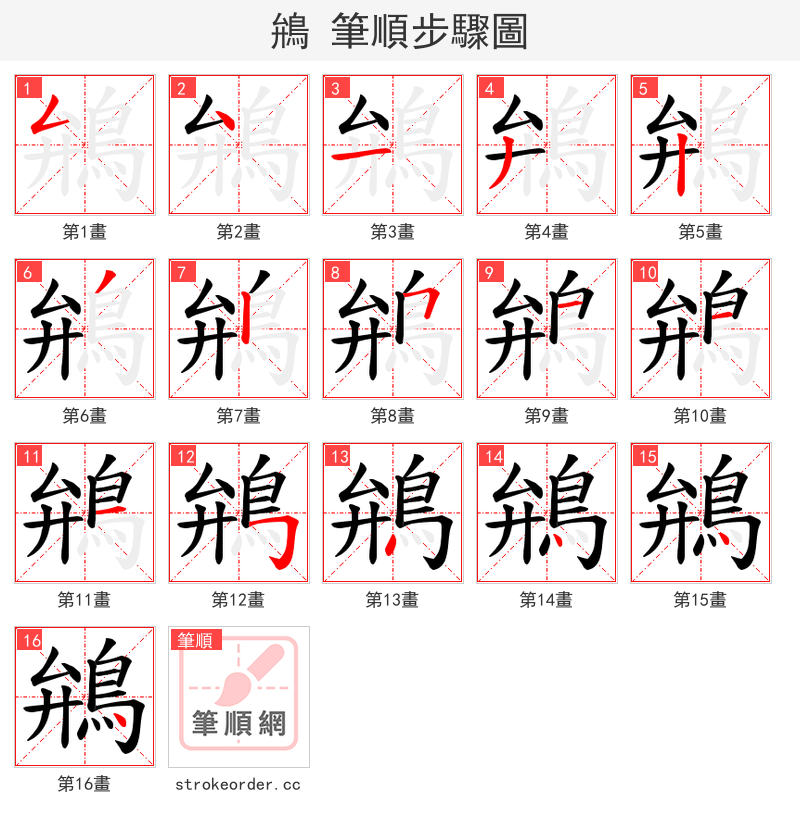 鴘 的笔顺分步演示