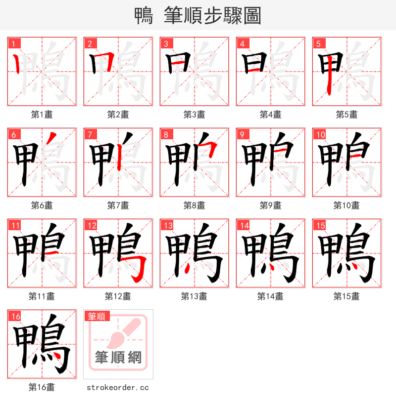 鴨 的笔顺分步演示