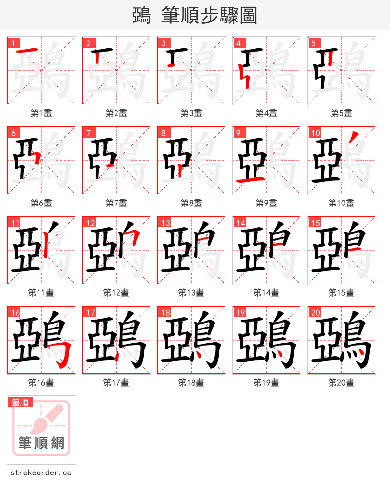 鵶 的笔顺分步演示