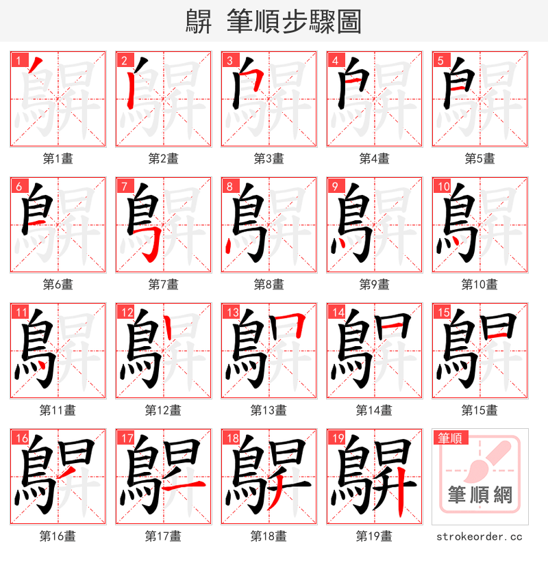 鵿 的笔顺分步演示