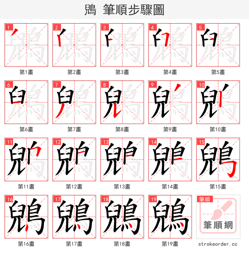 鶂 的笔顺分步演示