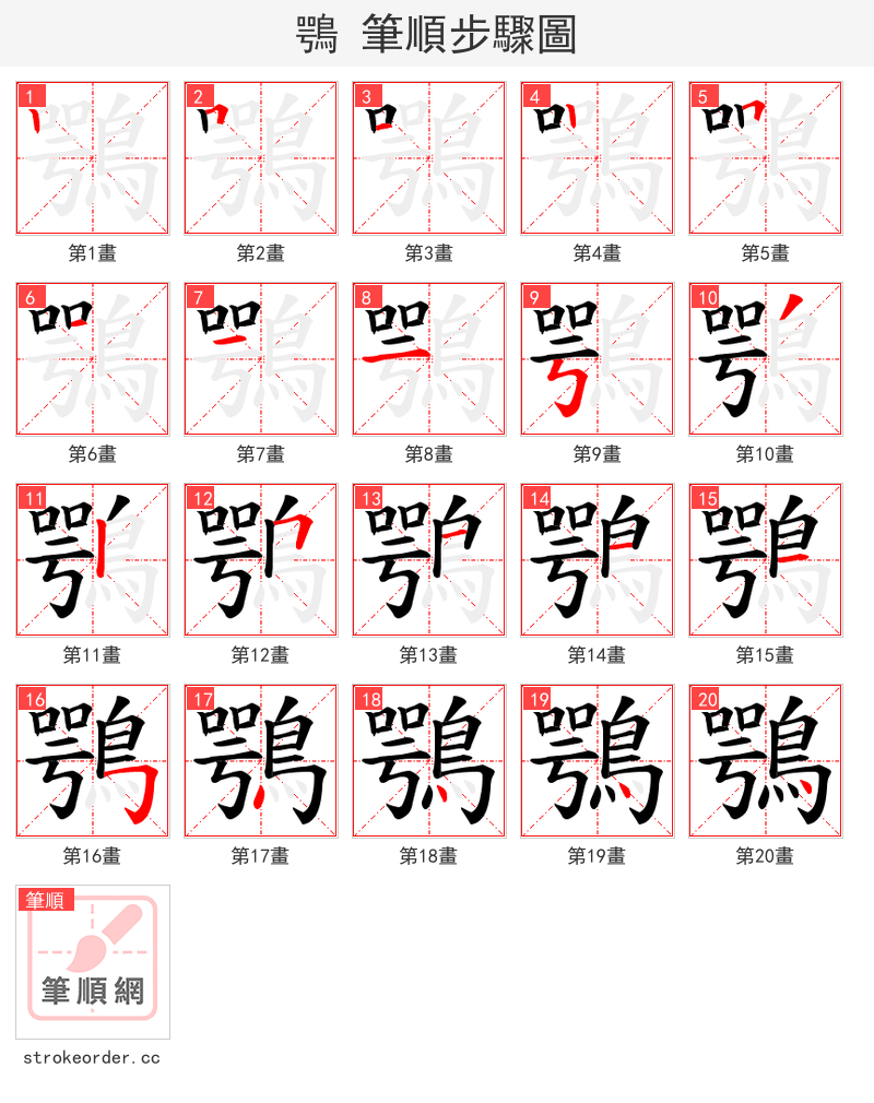 鶚 的笔顺分步演示
